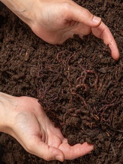 2: Fertilizers & Soil