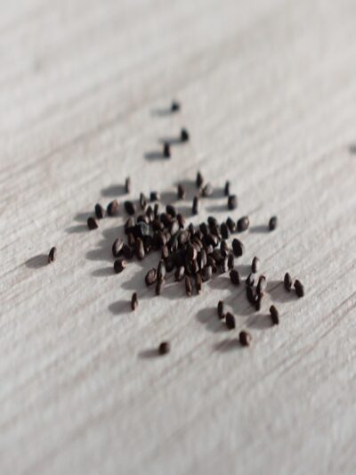 1: Seeds & Nurseries