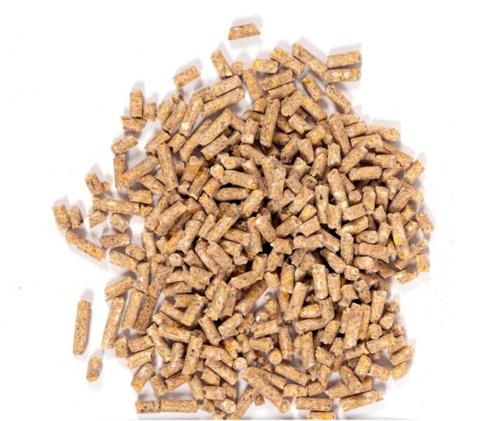 KTS Agriculture – Bio-Fertilizer & Soil Conditioning Hub