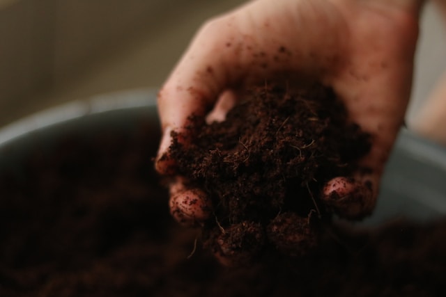 Buyer’s Guide: How to Identify Authentic Organic Fertilizer Suppliers in Sarawak