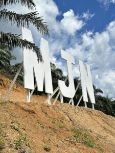 MJM Oil Palm Nursery (Ulu Niah 1) – Commercial Oil Palm Seedlings & Plantation Planting Materials