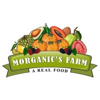 Morganic Farm - Organic Crop Consultancy & Sustainable Agriculture Produce