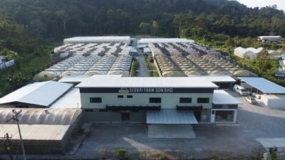 Serapi Farm Sdn. Bhd. – Hydroponic Salad Greens, Greenhouse Produce & Fresh Farm Supply