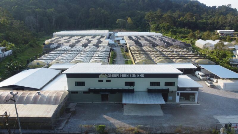 Serapi Farm Sdn. Bhd. – Hydroponic Salad Greens, Greenhouse Produce & Fresh Farm Supply